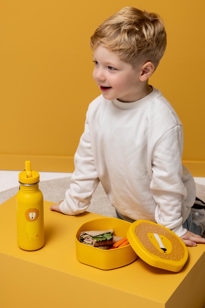 Trixie school set Mr. Lion drinking bottle and shaped lunchbox 