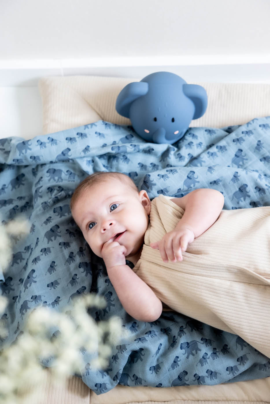 Trixie bedtime muslin cloth and night light Mrs. Elephant