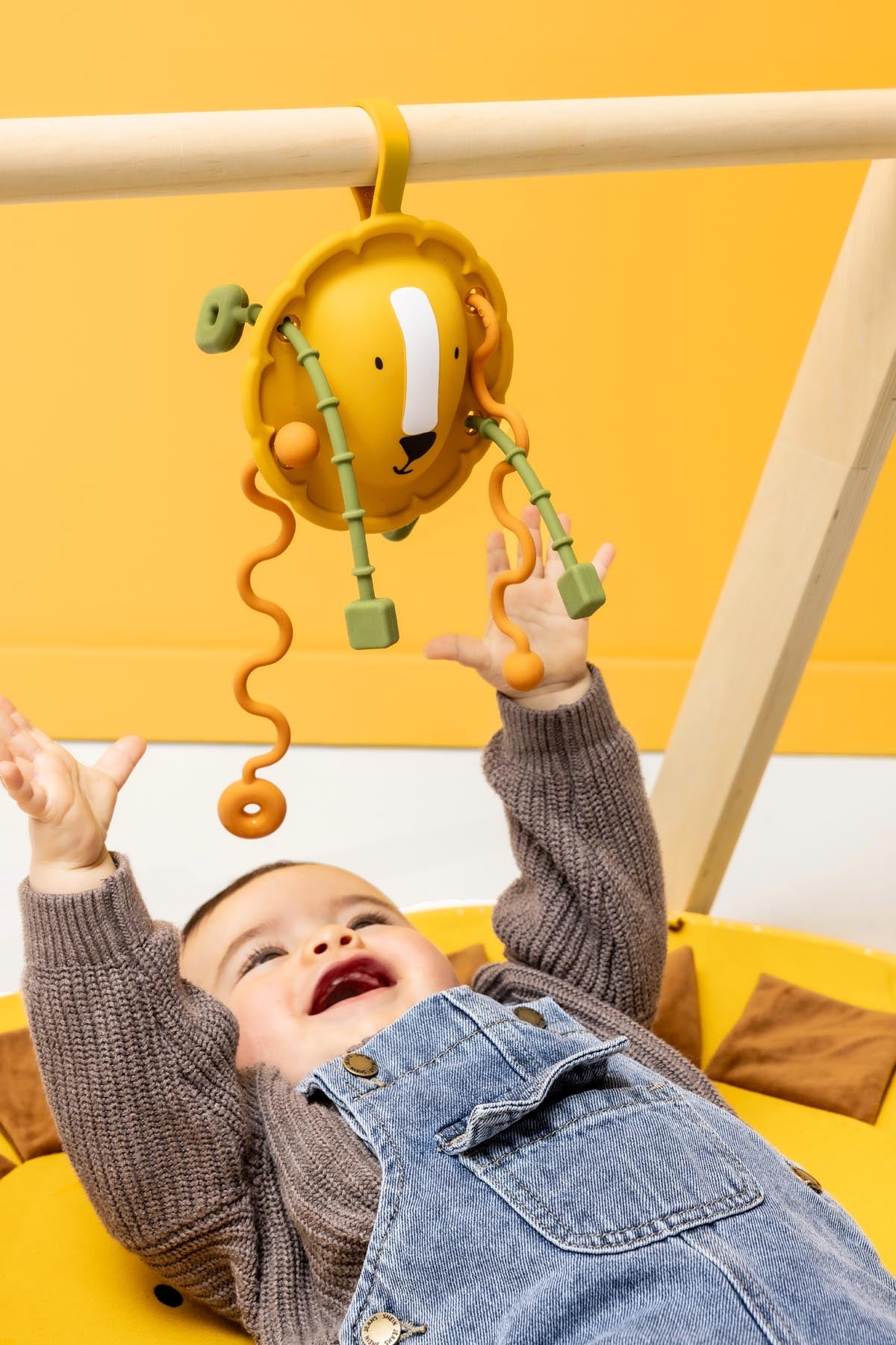 Silicone sensory pull toy - Mr. Lion
