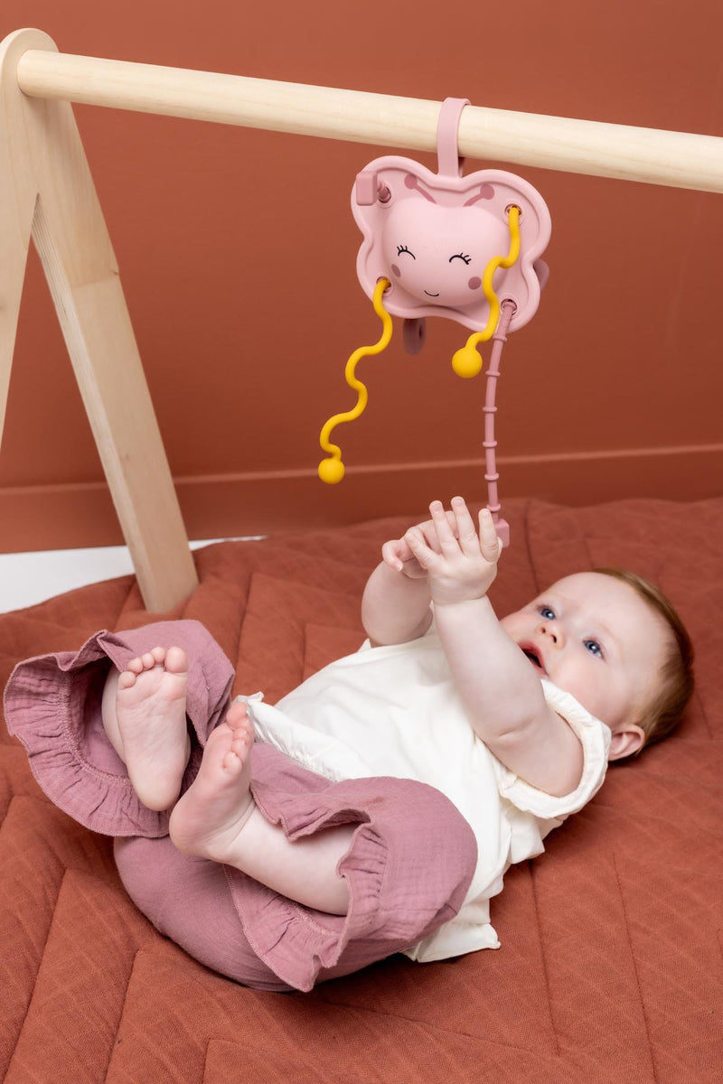 Silicone sensory pull toy - Mrs. Butterfly
