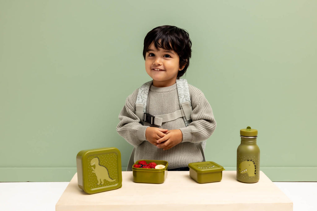 Snackbox set - 3-delig - Mr. Dino