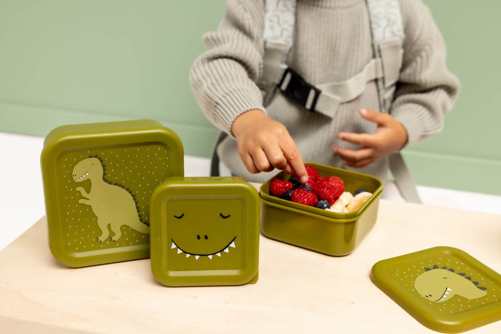 Snackbox set - 3-delig - Mr. Dino