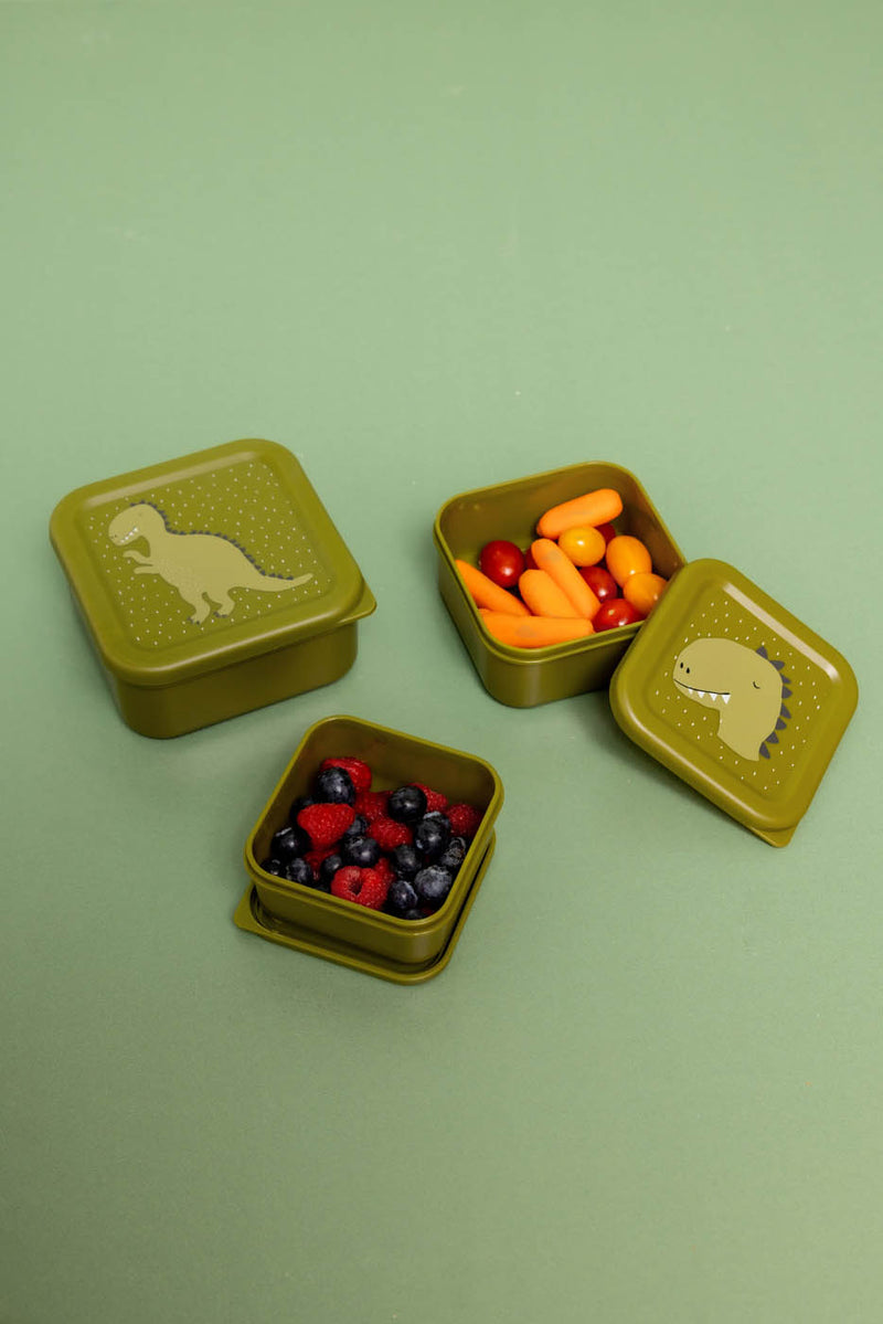 Snackbox set - 3-delig - Mr. Dino