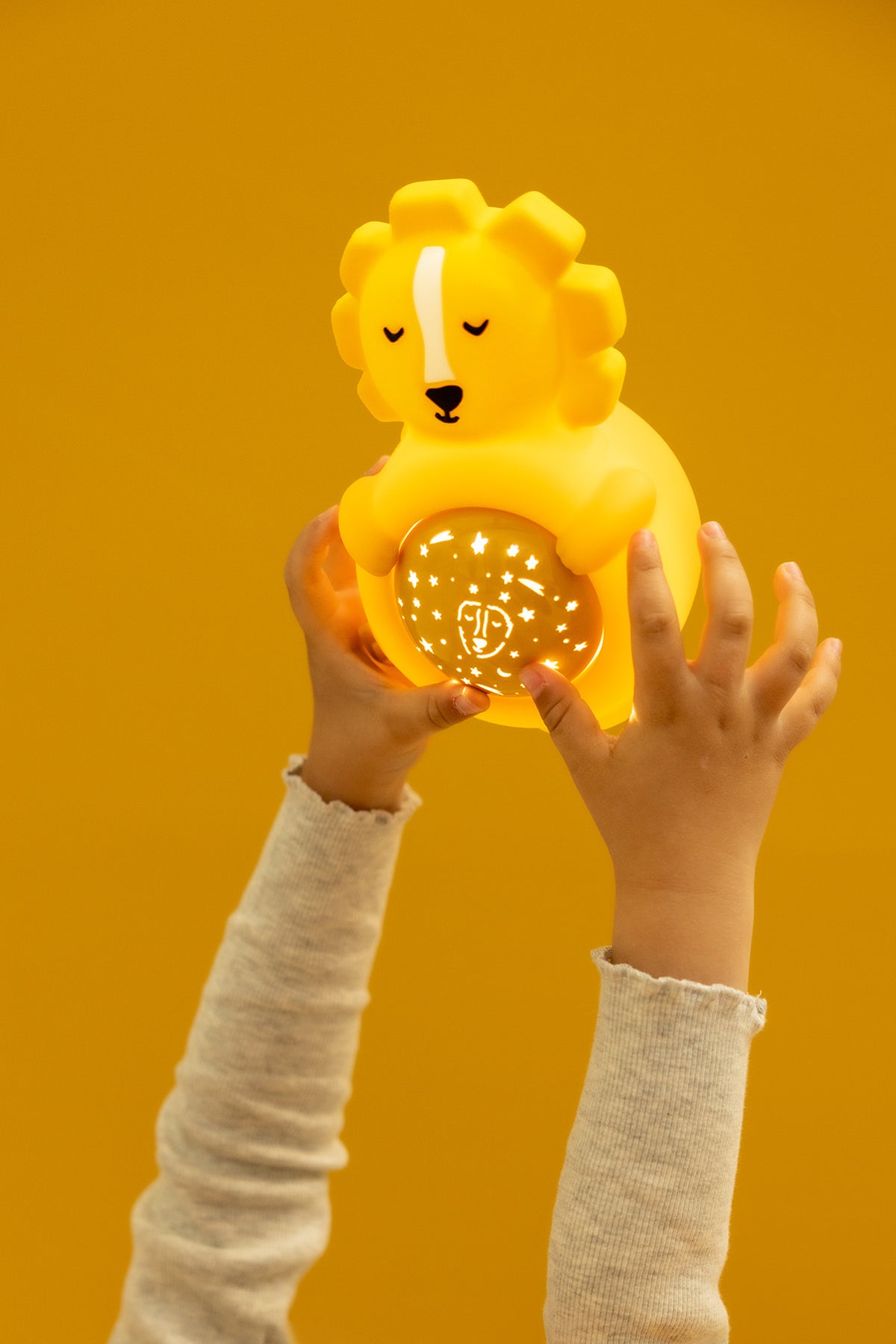 Projektor - Mr. Lion