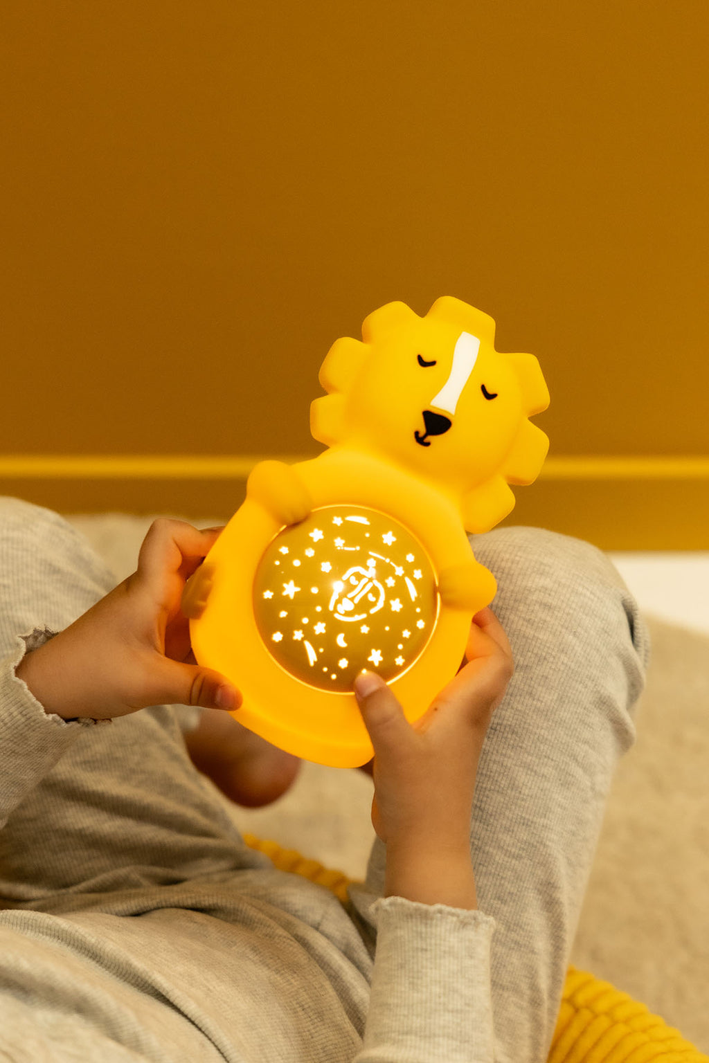 Mr. Lion holiday bundle