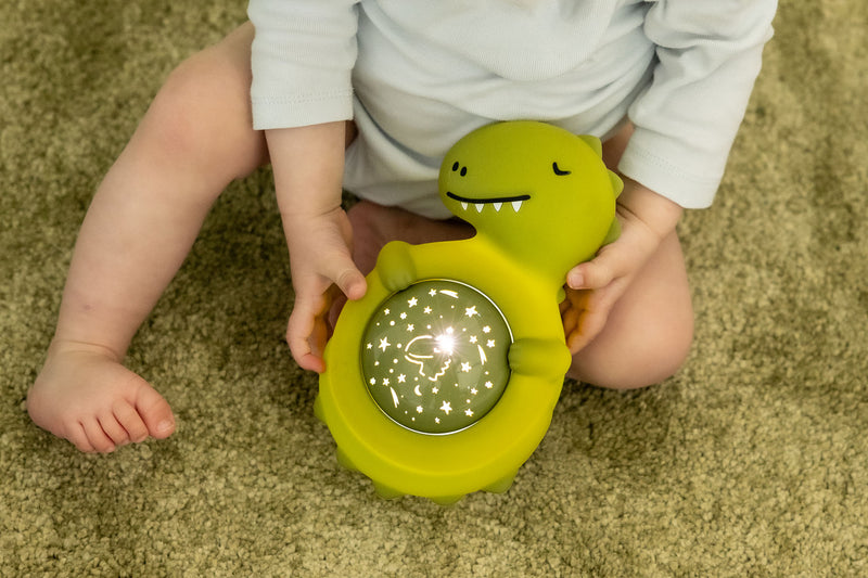 Projector - Mr. Dino
