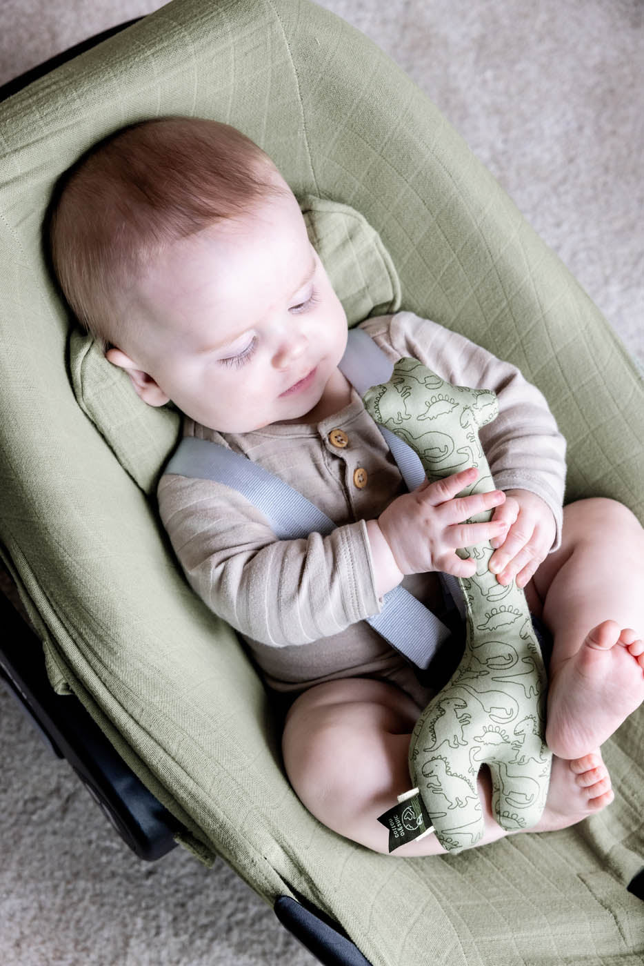 Trixie car seat cover Mr. Dino and rattle 