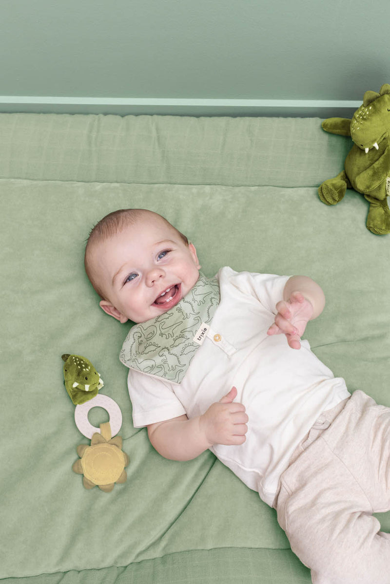 Trixie playtime with Mr. Dino teething toy