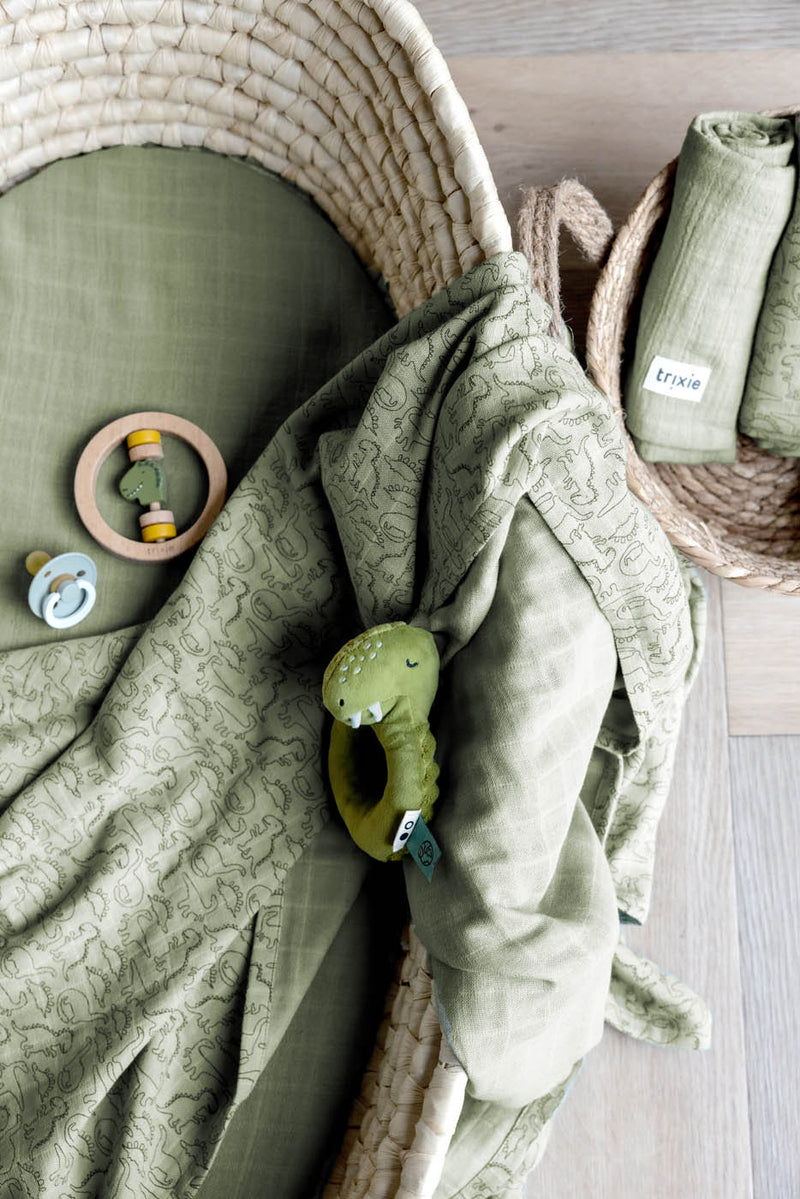 Trixie bedtime comforter Mr. Dino