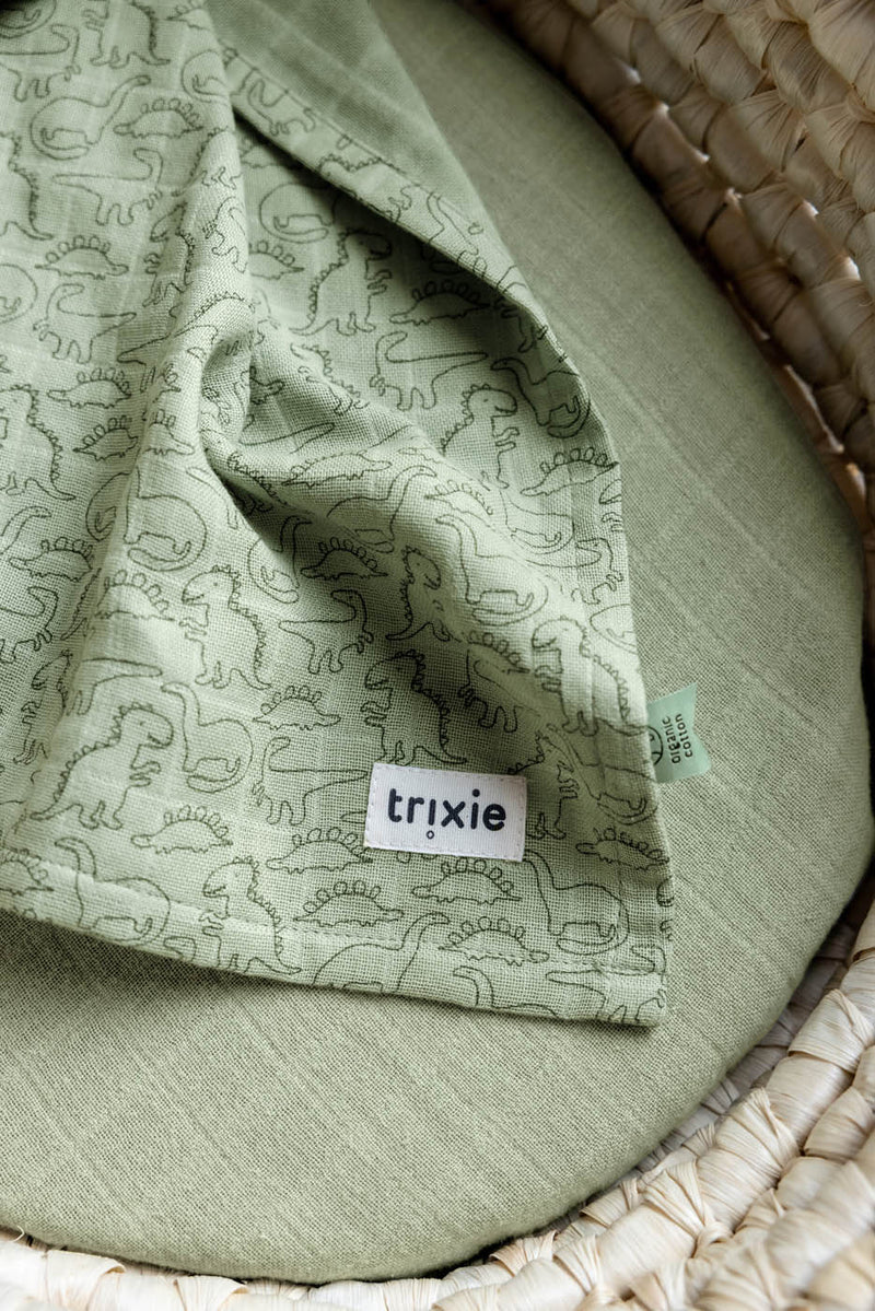 Trixie muslin cloth dino