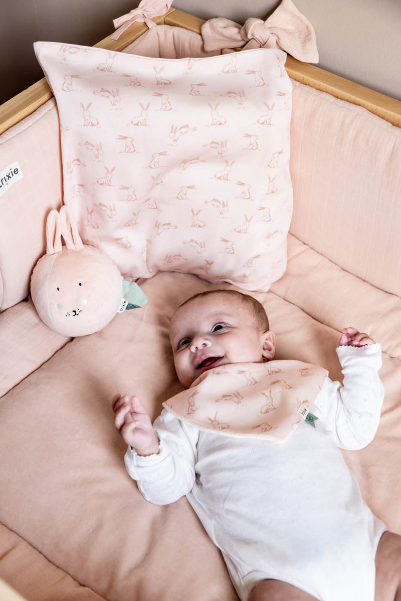 Trixie bedtime with Rosy Rabbit