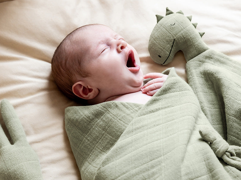 Trixie bedtime essentials Mr. Dino comforter and muslin cloth