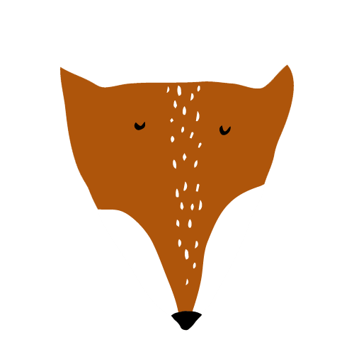 Mr. Fox