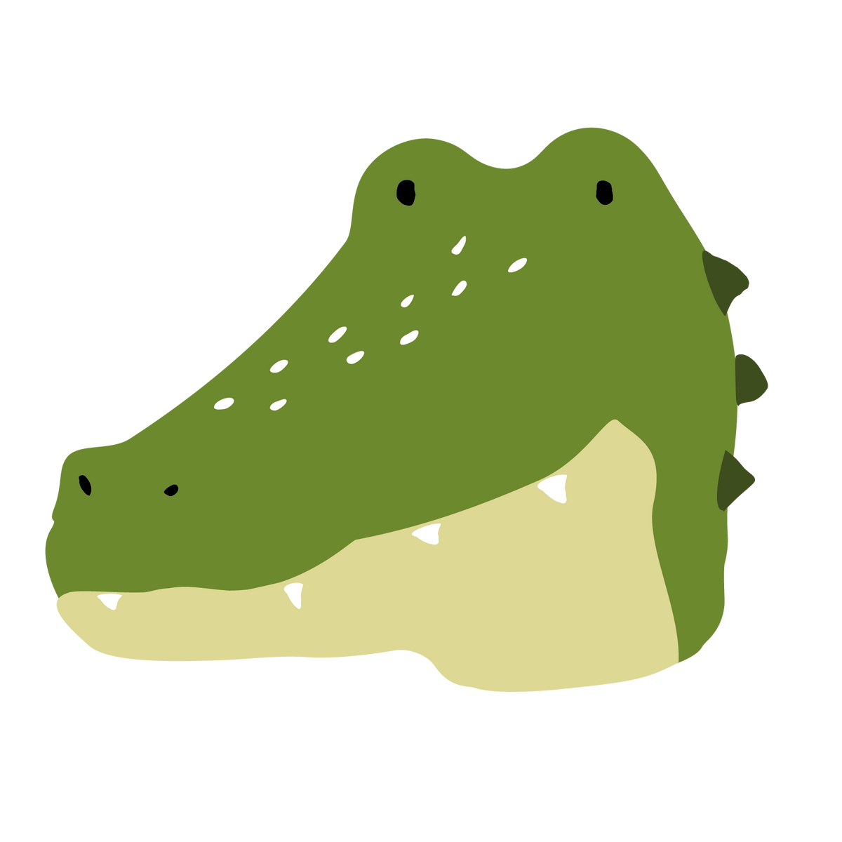 Mr. Alligator