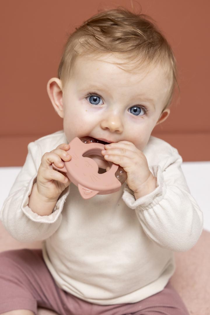 Trixie Teether Mrs. Cat 