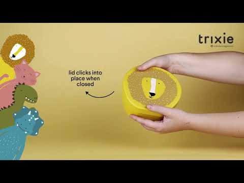 Shaped lunch box - Mr. Dino